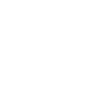 ICON Housing Commission