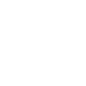 ICON FOOD TRUCK