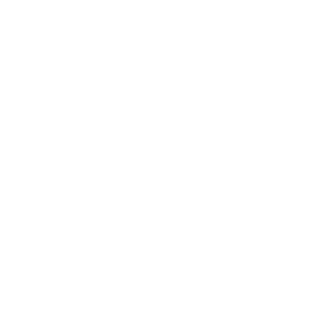 ICON KIOSKS