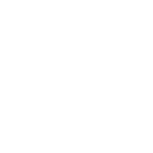 ICON Digital Permit Process Computer