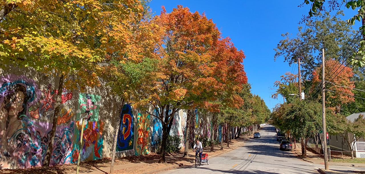 Trees Fall Murals Bike Photo HD