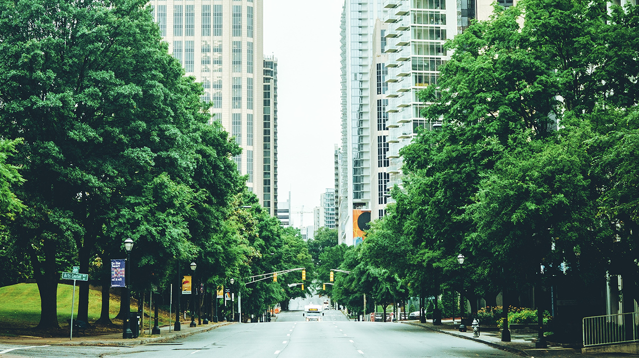 Trees lining city street Unsplash