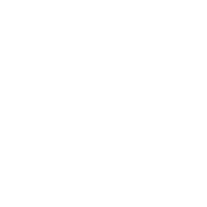 ICON Email