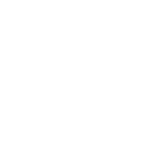 ICON Process flowchart