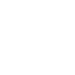 ICON video film