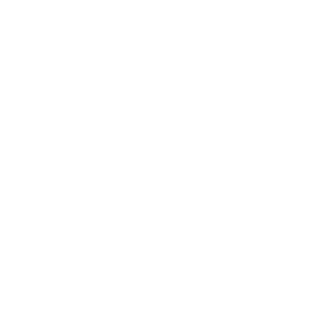 ICON Data Charts