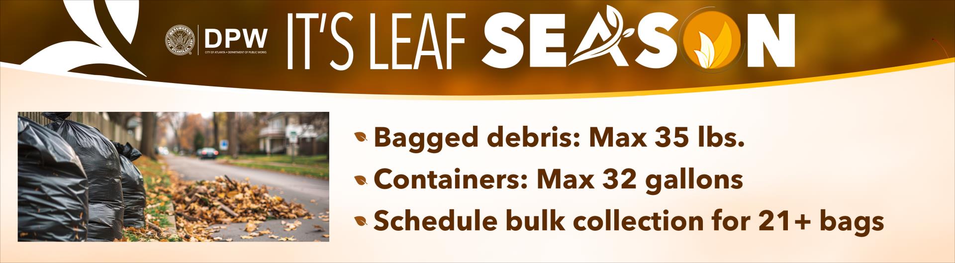 Web Banner_Leaf Season_2024_2 (002)