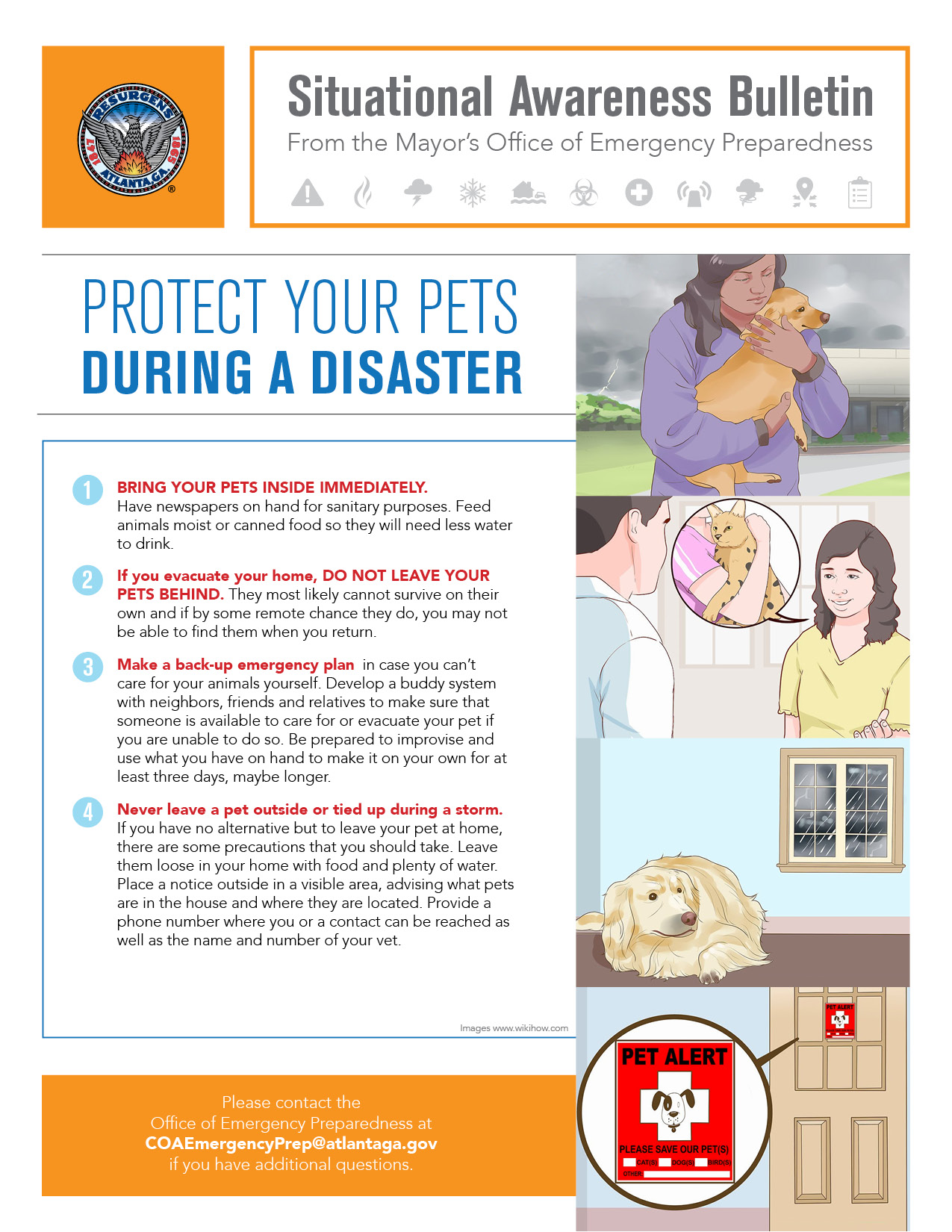 Protecting Your Pet During a Disaster