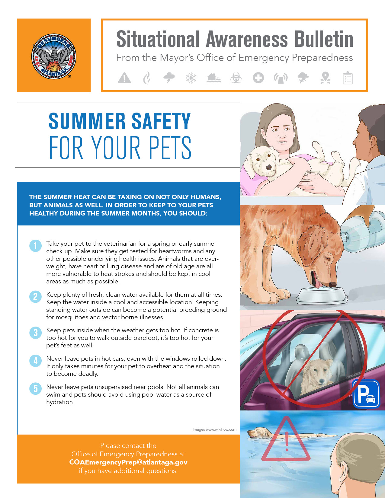 Summer Safety for Your Pets